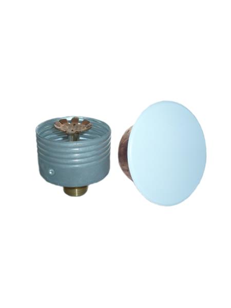 Gizli Tip Sprinkler